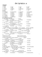 ôn tập tiếng Anh lớp 10 (bài 4 - 6)