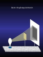 Sự tạo thành Bán ảnh