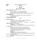 Tuần 11 (Hương_Chu Điện 2)