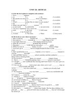 UNIT 20 ARTICLE