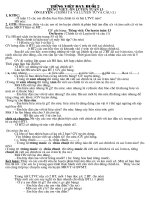 Giáo án dạy chuyên đề buổi 2