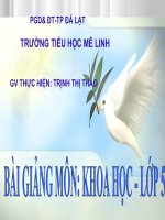 TÁC ĐỘNG CỦA CON NGƯỜI ĐẾN MÔI TRƯỜNG
