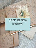 Hướng dẫn chọn màu sắc cho side trong powerpoint