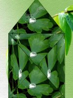 Những lời ý nghĩa nhất dành cho người yêu văn chương