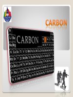 Thuyet trinh ve cac bon