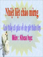 Bai giang mon khoa hoc