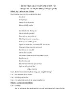 ĐỀ THI THAM KHẢO TUYỂN SINH 10 MÔN VĂN