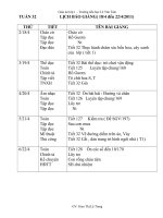 GIÁO ÁN TUẦN 32 LỚP 1( CKTKN)