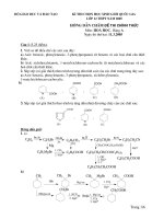 Đề và HDC huuco HSG QG