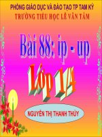 BAI 88 IP - UP LOP 1