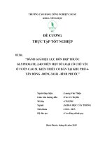 ĐÁNH GIÁ HIỆU LỰC HỖN HỢP THUỐC GLYPHOSATE, 2,4D TRÊN MỘT SỐ LOẠI CỎ CHỦ YẾU Ở VƯỜN CAO SU KIẾN THIẾT CƠ BẢN