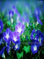 Tiet 62:ON TAP CHUONG IV