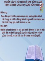 NGHIÊN CỨU VỀ HỆ VI SINH VÀ SINH HÓA CỦA QUÁ TRÌNH LÊN MEN CA CAO TẠI CỘNG HÒA DOMINICA