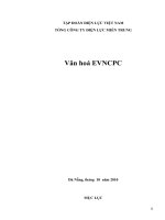 tiểu luận văn hóa doanh nghiệp VĂN HOÁ TỔNG CÔNG TY ĐIỆN LỰC MIỀN TRUNG