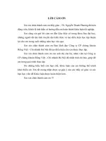 luận văn chuyên ngành chứng khoán Phát triển các dịch vụ hỗ trợ nhà đầu tư trong giao dịch chứng khoán tại Công ty CP chứng khoán Rồng Việt - Chi nhánh Hà Nội