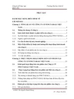 luận văn quản trị kinh doanh THỰC TRẠNG HOẠT ĐỘNG BÁN SẢN PHẨM TẠI CÔNG TY CP PINCTADALI VIỆT NAM