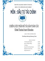 chiến lược phân bố tài sản toàn cầu global tactical asser allocation