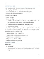 Môn quản trị chiến lược: Phân tích chiến lược kinh doanh của công ty cổ phần du lịch Tân Định