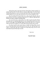 luận văn quản trị kinh doanh Nâng cao hiệu quả kinh doanh của công ty cổ phần Việt Hưng Phát