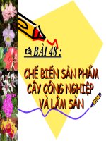 BÀI 48: Chế biến sản phẩm cây công nghiệp và lâm sản