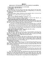 Bai giang lich su dia phuong Nam Hong