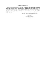 luận văn thạc sĩ quản trị kinh doanh Giải pháp đẩy mạnh hoạt động bán hàng của Công ty TNHH Thương mại và Dịch vụ tổng hợp Trang Huy