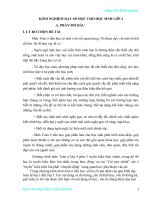 kinh nghiem day hoc so hoc cho hoc sinh lop 4