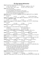 Đề cương ôn tập H.C hóa 9