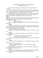 Hướng dẫn ôn thi môn Giáo dục Công dân 7 HKI năm học 2010-2011