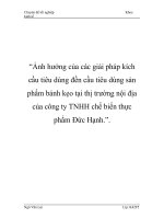 luận văn quản trị kinh doanh Ảnh hưởng của các giải pháp kích cầu tiêu dùng đền cầu tiêu dùng sản phẩm bánh kẹo tại thị trường nội địa của công ty TNHH chế biến thực phẩm Đức Hạnh