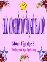 những cánh buồm