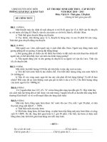 ĐỀ THI HSG VẬT LÝ 8 (2010-2011)