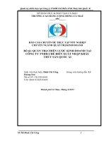 Quản trị chiến lược tại công ty TNHH chế biến XNK thủy sản Quốc Ái Cà Mau