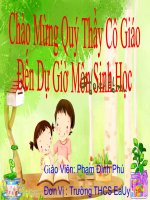 bài 47 thực vật bảo vệ đất và nước