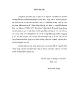 luận văn quản trị kinh doanh Hoàn thiện công tác xây dựng và phát triển thương hiệu cho Công ty TNHH MTV Bảo Pháp