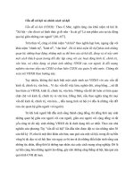 Vấn đề xã hội và chính sách xã hội