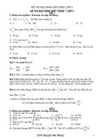 20 Đề HSG Toán lớp 5