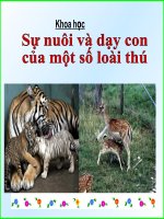 tiét 60: Sự nuôi dạy con của một số loài thú