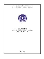 Giáo trình cấu trúc tàu đào tạo thuyền trưởng hạng 3 ĐTNĐ