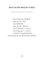 BÁO CÁO THU HOẠCH CÁ NHÂN Khoa: Tiểu học – Mầm non Lớp TT giảng dạy: 5 – 6 tuổi