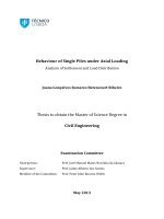 Behaviour of Single Piles under Axial Loading Hành vi của cọc đơn dưới tác động của tải dọc trục