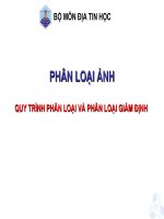 Bài giảng địa tin học   phân loại ảnh  quy trình phân loại và phân loại giám định
