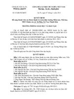 Quyết định bổ sung thành viên đoàn thanh tra toàn diện