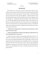 Đánh giá thời cơ Marketing quốc tế của Việt Tiến  Đề xuất các giải pháp đối với chương trình sản phẩm quốc tế nhằm thích ứng với thời cơ Marketing quốc tế của công ty