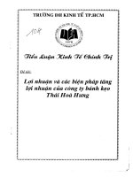 luận văn quản trị kinh doanh lợi nhuận và các biện pháp tăng lợi nhuận của công ty bánh kẹo Thái Hoà Hưng