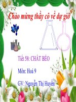 Bài 47: Chất béo