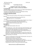 Giáo án chào cờ