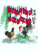 Tập đọc Nhà rông ở Tây Nguyên