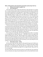 Đánh giá thời cơ Marketing quốc tế và Chiến lược phân phối của Nike tại thị trường Việt Nam