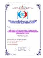 Giải pháp xây dựng và hoàn thiện chiến lược kinh doanh của công ty TNHH MTV Tùng Hưng Thịnh